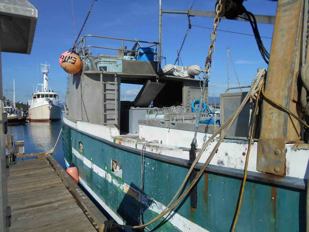 Commercial Tuna Boat For Sale