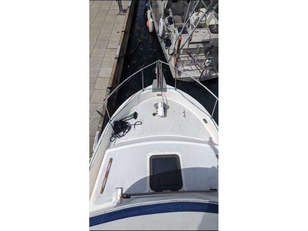 Fiberglass Cruiser Bras image 3