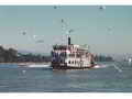 Paddlewheeler Riverboat Tours Charters thumbnail image 5