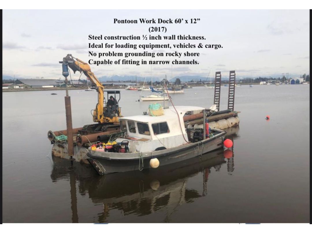 Pontoon Dock image 1
