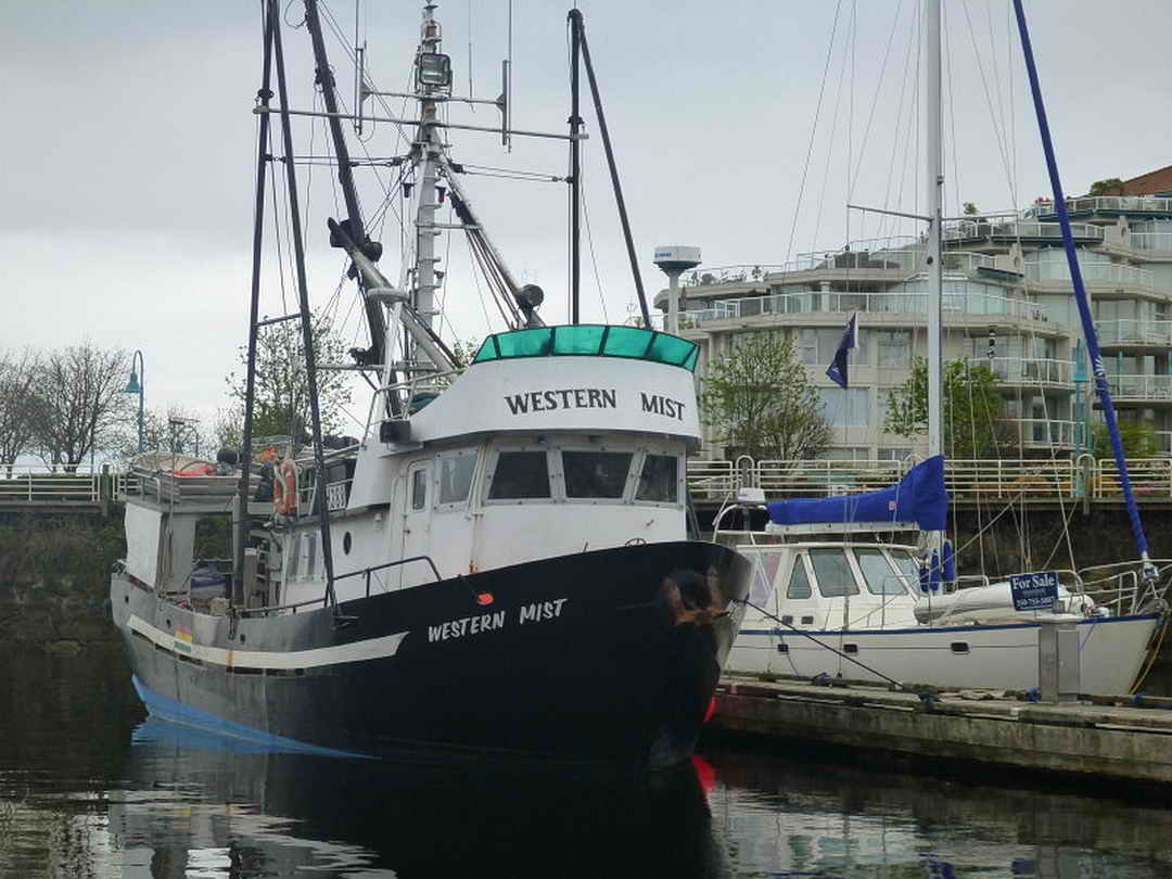 Aluminum Seiner Longliner image 5