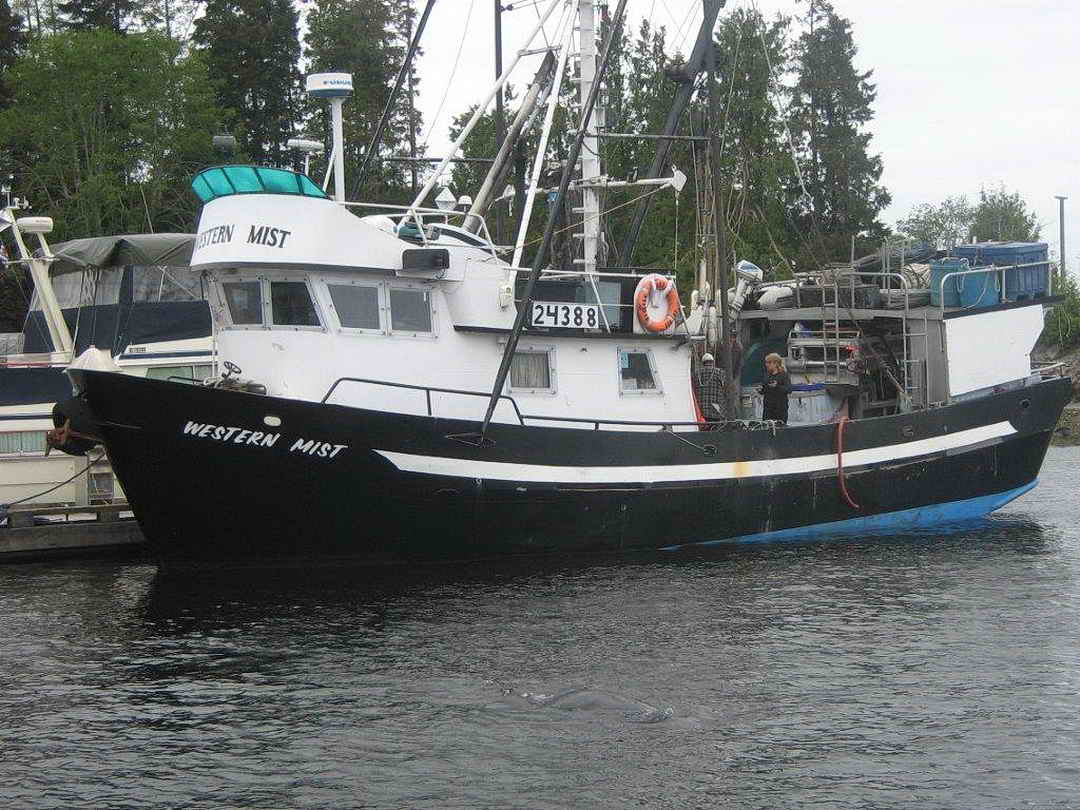 Aluminum Seiner Longliner image 6