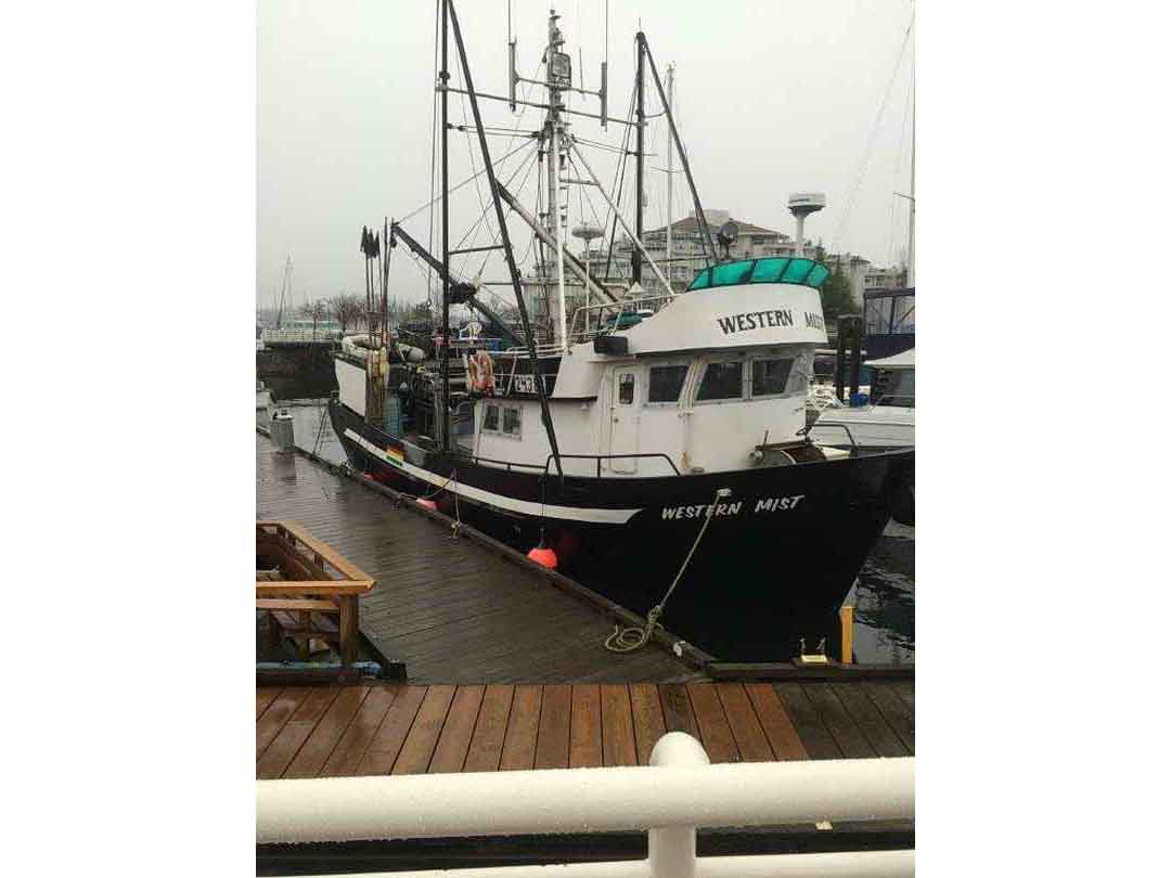 Aluminum Seiner Longliner image 7