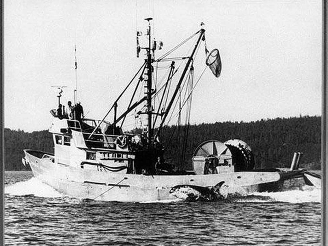 Aluminum Seiner Longliner image 9