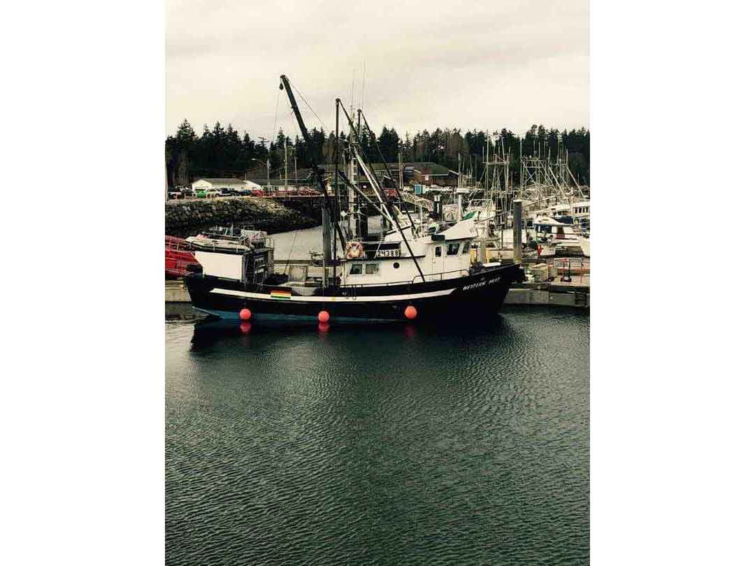 Aluminum Seiner Longliner image 11