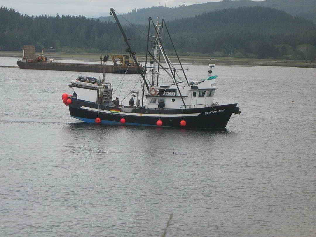 Aluminum Seiner Longliner image 12