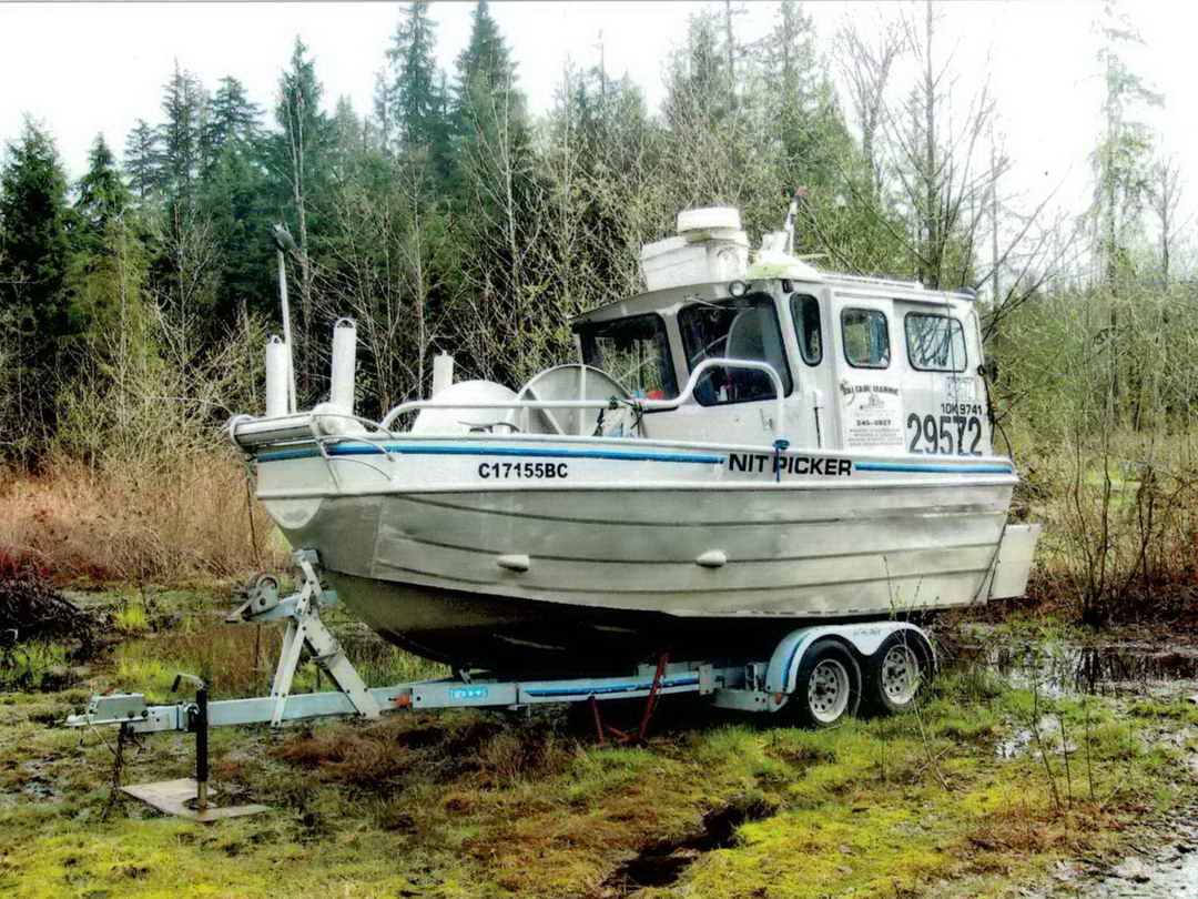 Salmon Bowpicker Gillnetter image 0