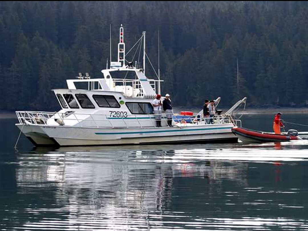 Catamaran Halibut Troller image 0