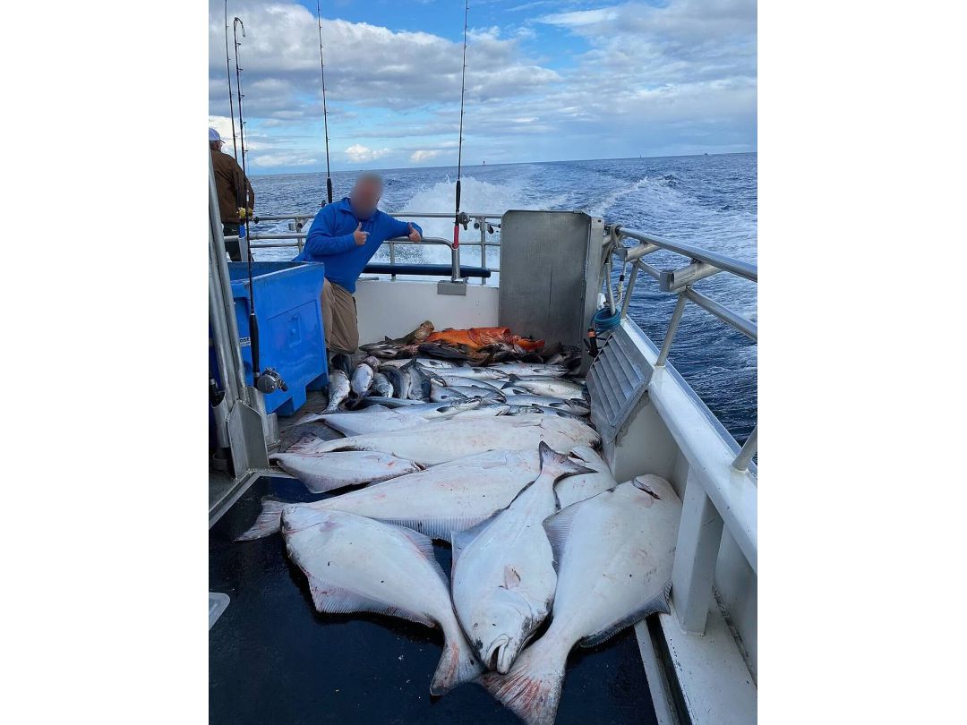 Catamaran Halibut Troller image 3