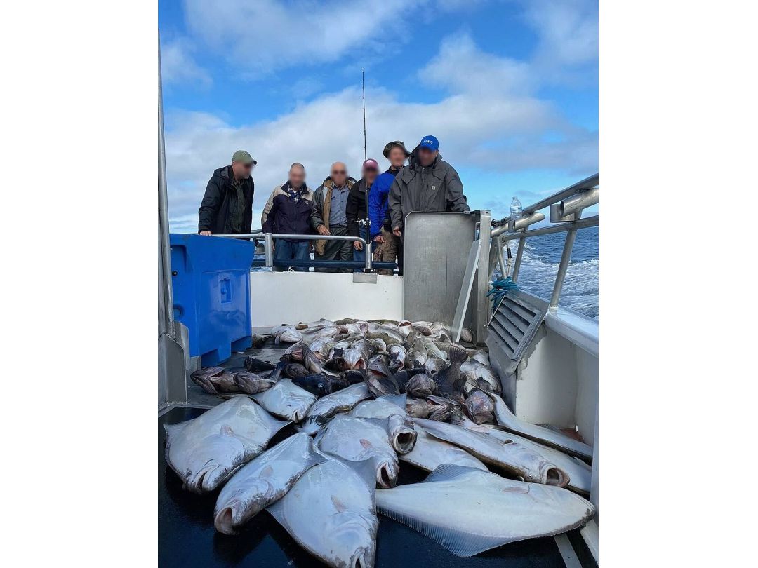 Catamaran Halibut Troller image 5