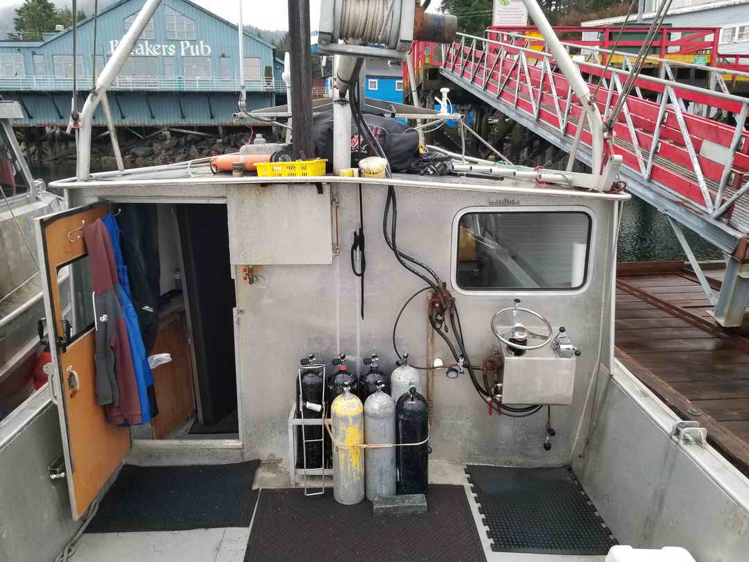 Dive Tender Prawn Crab Boat image 1