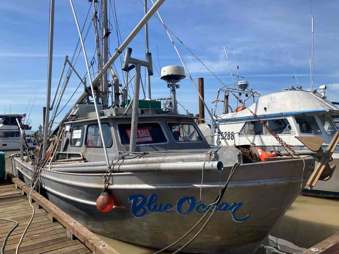 Shrimp Boat image 1