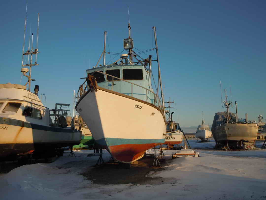 1979 Longline Commercial Fisher image 1