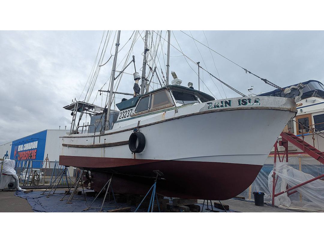 Deltaga Freezer Troller image 1