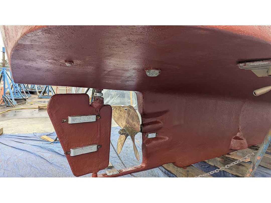 Deltaga Freezer Troller image 5