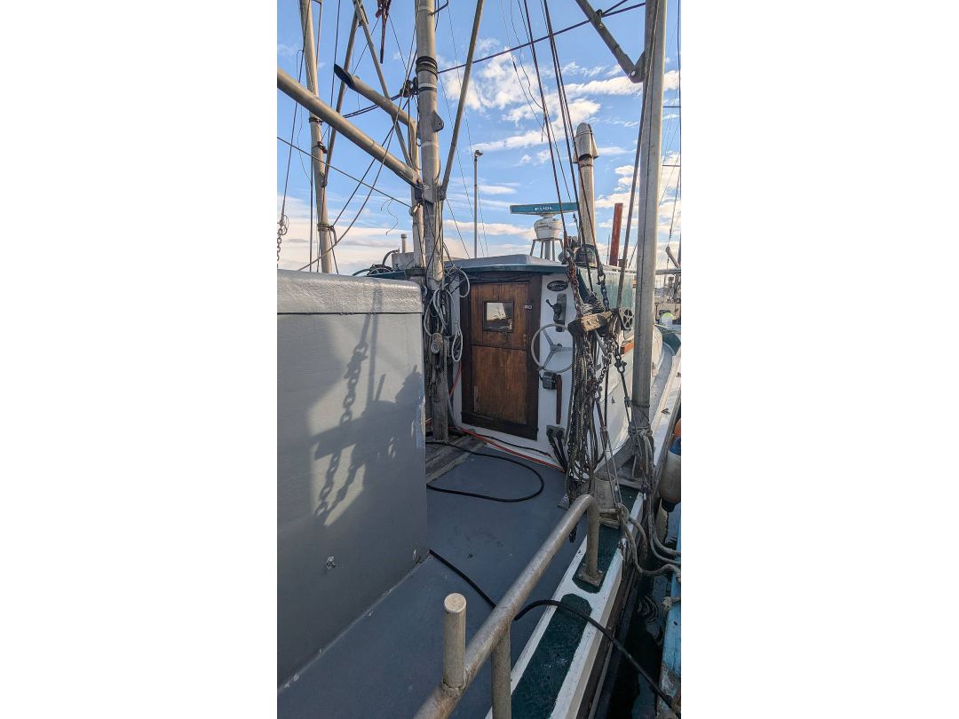 Deltaga Freezer Troller image 9