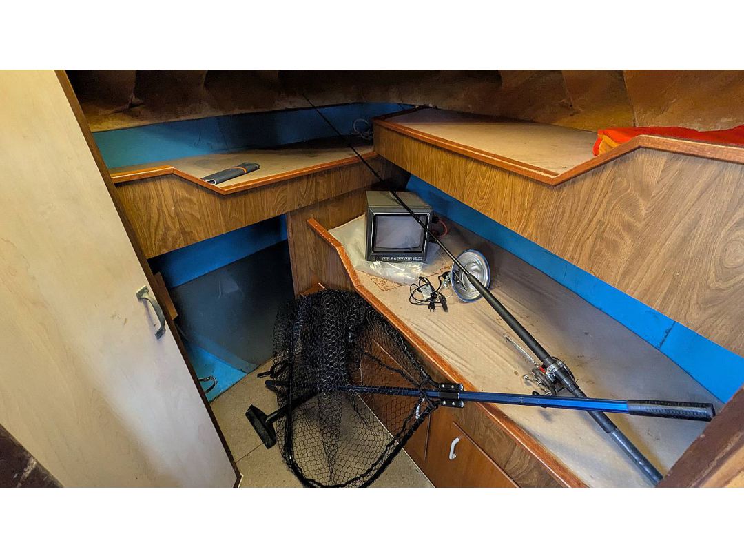 Deltaga Freezer Troller image 11