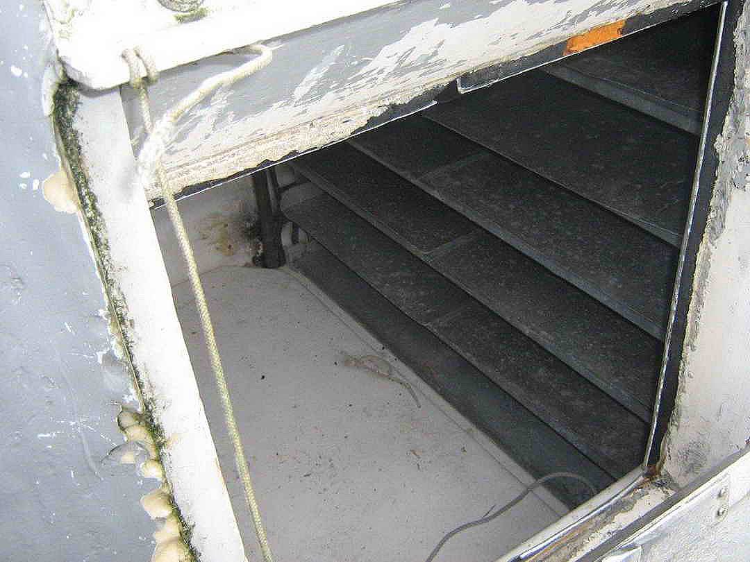 Deltaga Freezer Troller image 13