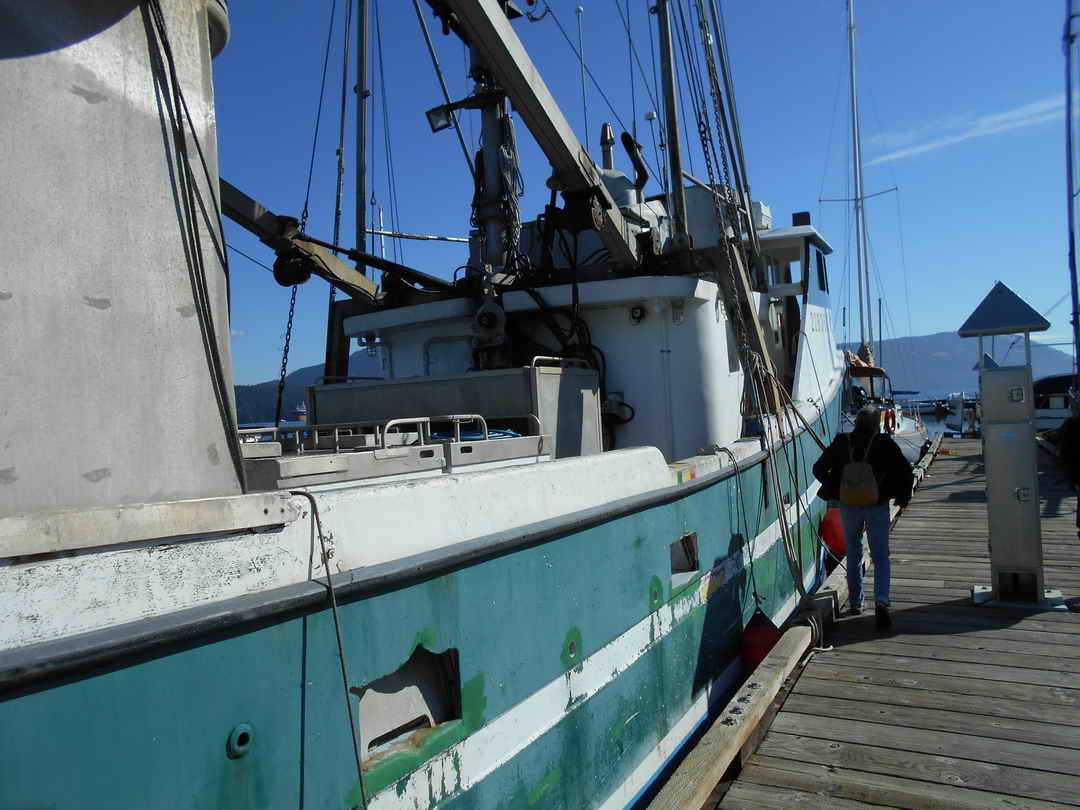 Commercial Tuna Boat For Sale