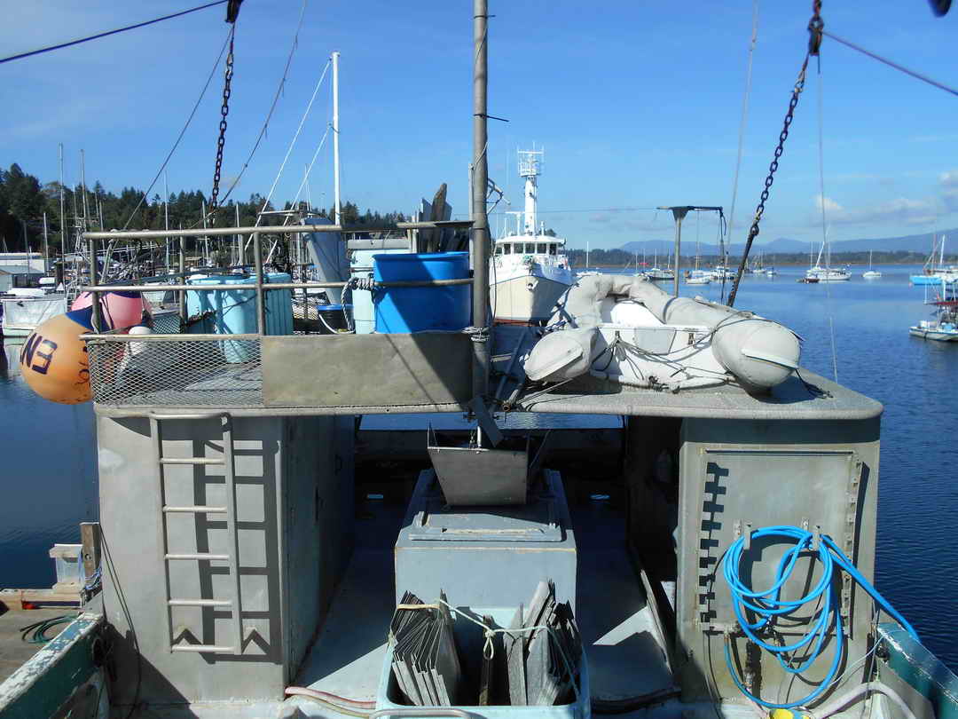 Commercial Tuna Boat For Sale