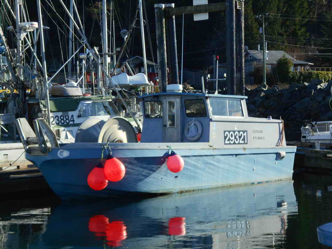 Salmon Gillnetter Bowpicker image 2
