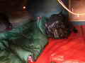 Modutech Seiner Longliner Crabber thumbnail image 16