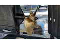 Modutech Seiner Longliner Crabber thumbnail image 19