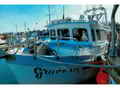 Gillnetter thumbnail image 4