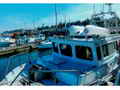 Gillnetter thumbnail image 5