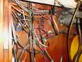 Deltaga Shrimper thumbnail image 31