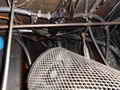 Deltaga Shrimper thumbnail image 36