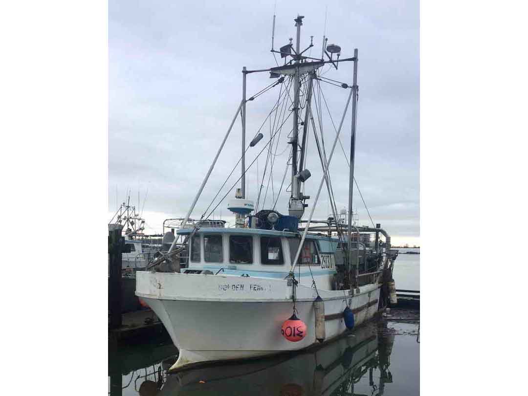 Deltaga Trawler Shrimper Freezer Boat image 1
