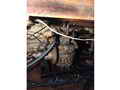 Deltaga Trawler Shrimper Freezer Boat thumbnail image 5