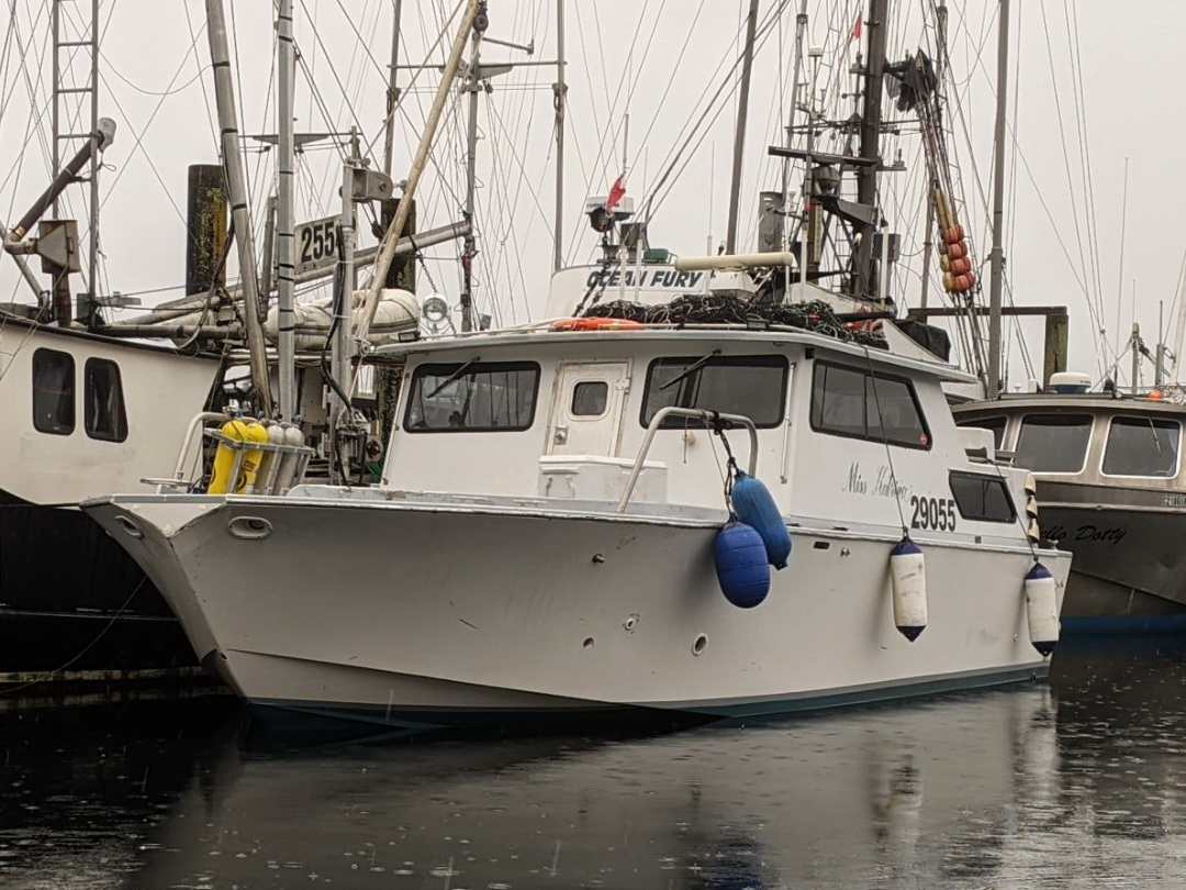 Pacific Bowpickers Dive Boat Gillnetter image 0