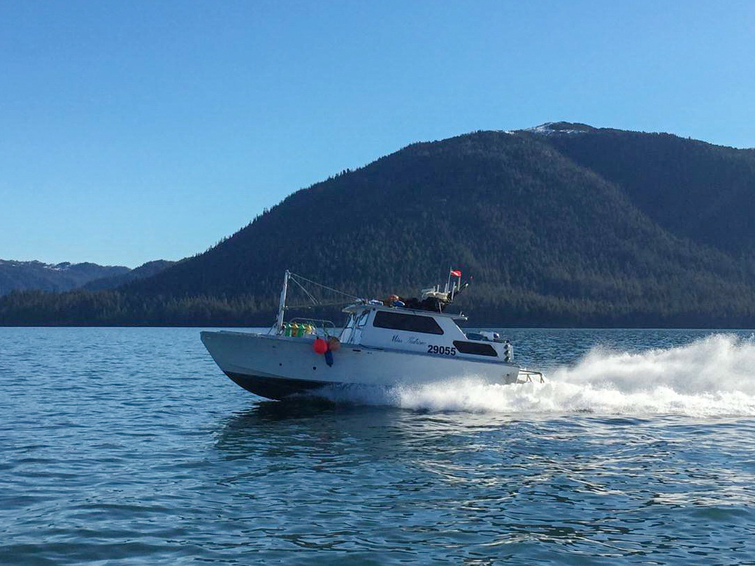 Pacific Bowpickers Dive Boat Gillnetter image 1