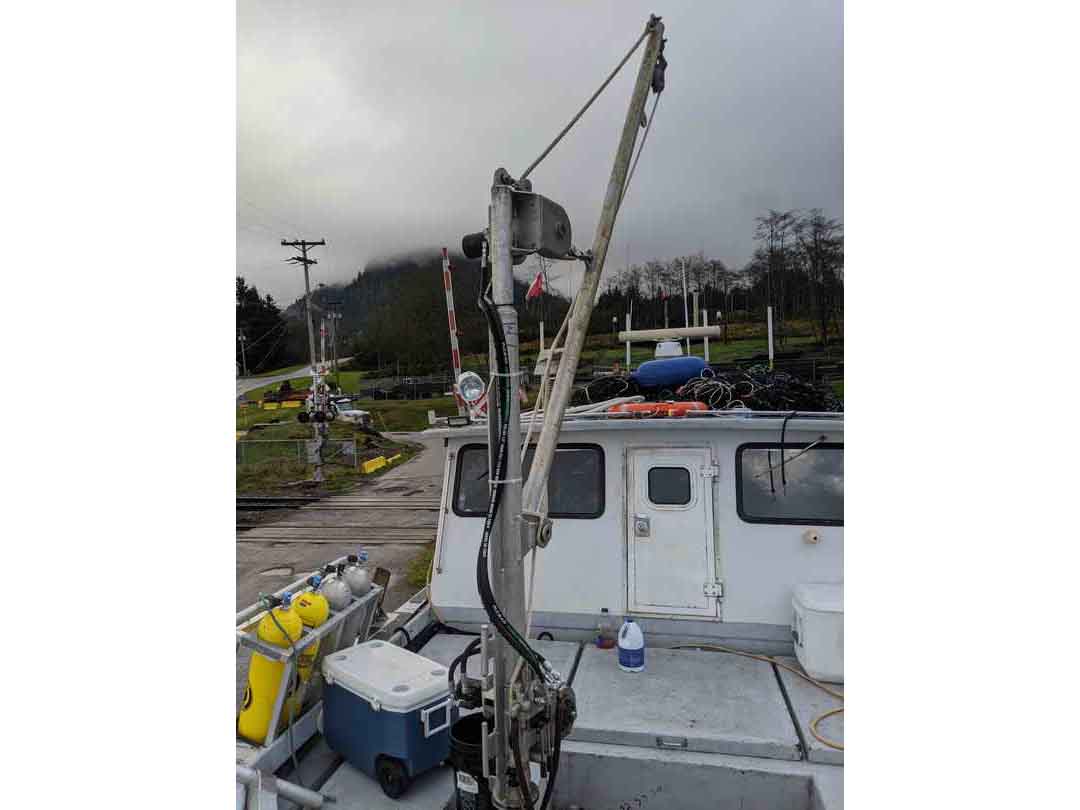 Pacific Bowpickers Dive Boat Gillnetter image 2