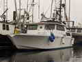 Pacific Bowpickers Dive Boat Gillnetter thumbnail image 0