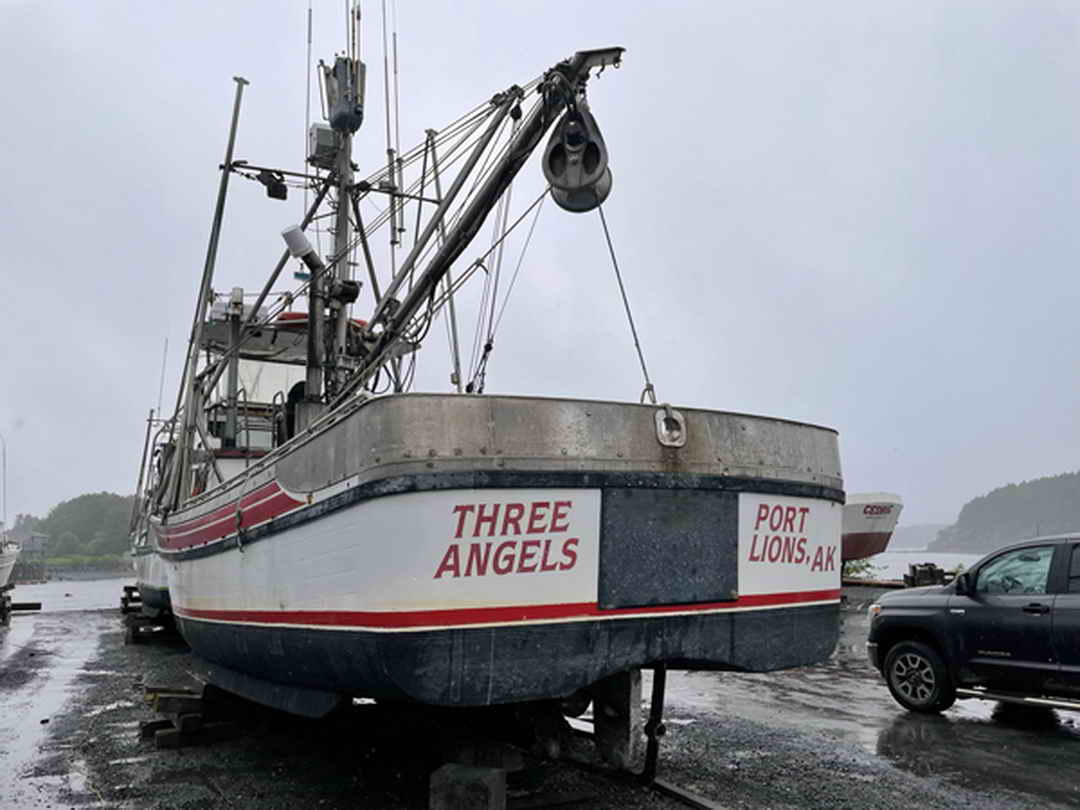 Delta Marine Purse Seiner image 2