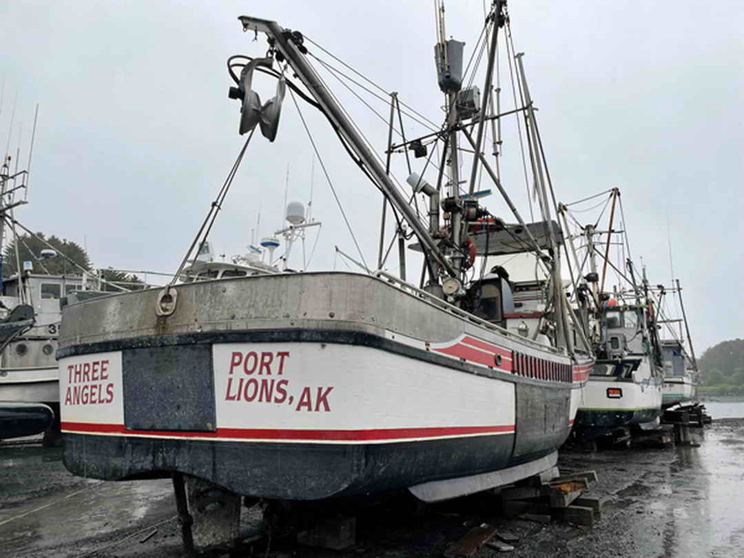 Delta Marine Purse Seiner image 3