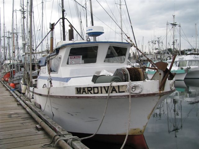 Deltaga Troller image 5