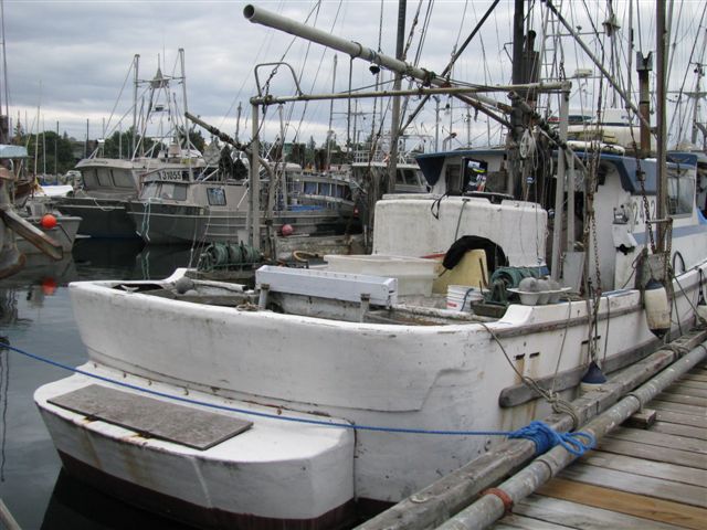Deltaga Troller image 7