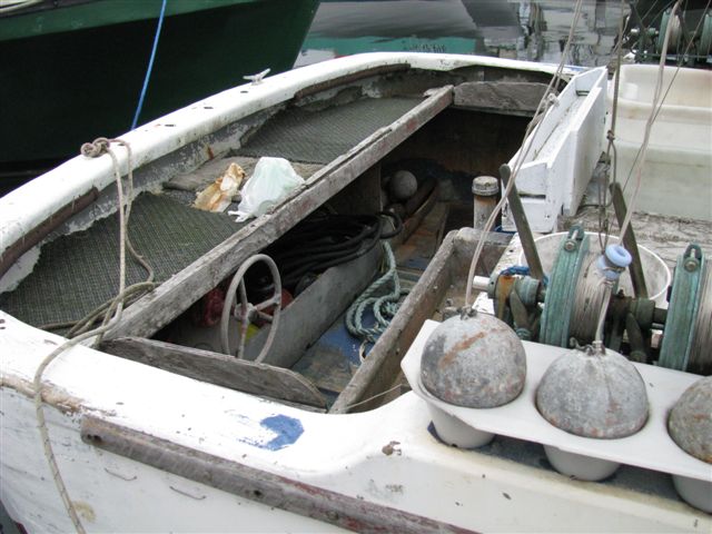 Deltaga Troller image 8