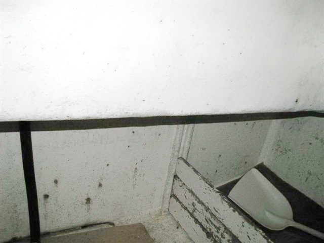 Deltaga Troller image 20