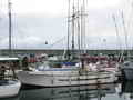 Deltaga Troller thumbnail image 0