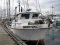 Deltaga Troller thumbnail image 5
