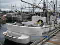 Deltaga Troller thumbnail image 7