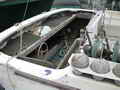 Deltaga Troller thumbnail image 8
