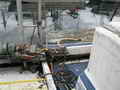 Deltaga Troller thumbnail image 9