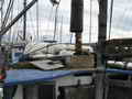 Deltaga Troller thumbnail image 10