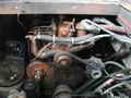 Deltaga Troller thumbnail image 16